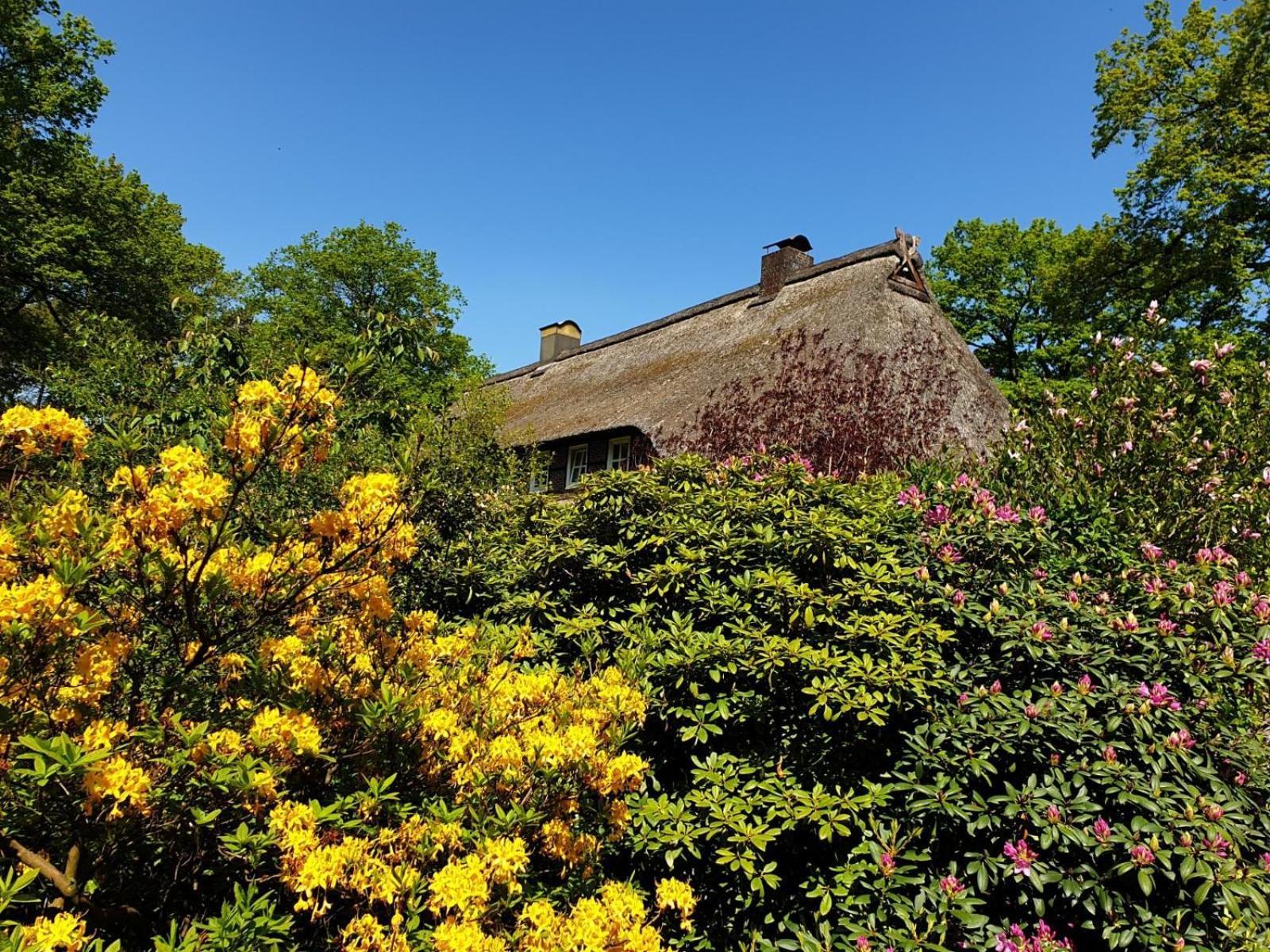 Hof Lindemann Villa Schneverdingen Exterior photo